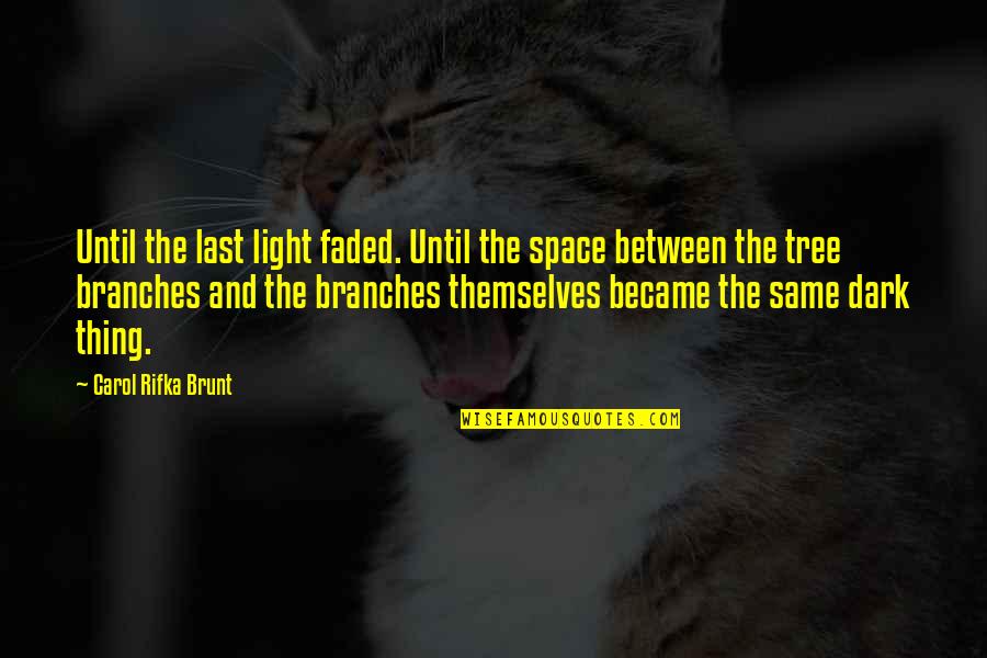 Carol Rifka Brunt Quotes By Carol Rifka Brunt: Until the last light faded. Until the space