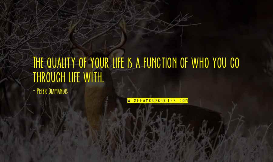 Carole Bouquet Quotes By Peter Diamandis: The quality of your life is a function