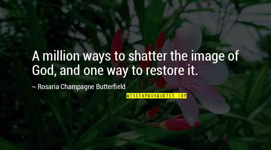 Carole Wilkinson Quotes By Rosaria Champagne Butterfield: A million ways to shatter the image of