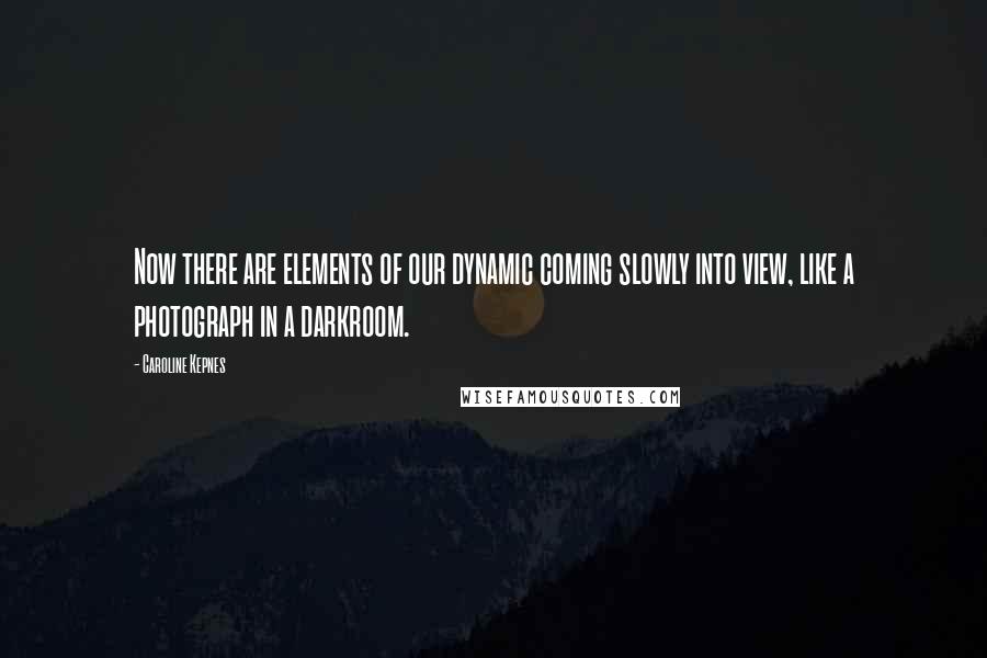 Caroline Kepnes quotes: Now there are elements of our dynamic coming slowly into view, like a photograph in a darkroom.