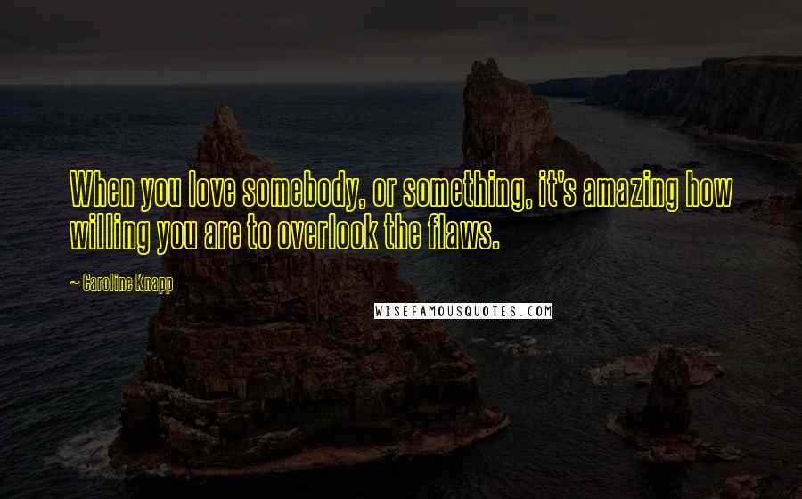 Caroline Knapp quotes: When you love somebody, or something, it's amazing how willing you are to overlook the flaws.