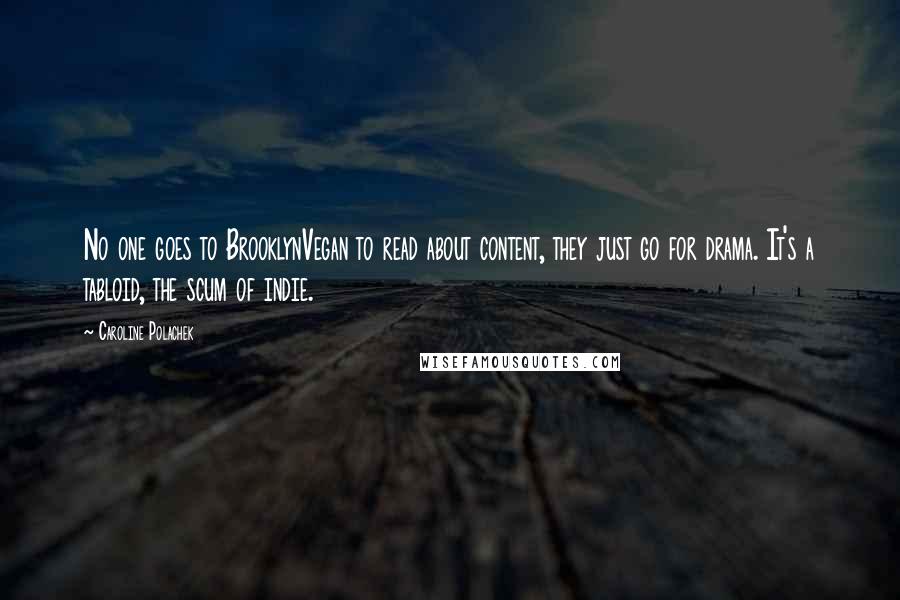 Caroline Polachek quotes: No one goes to BrooklynVegan to read about content, they just go for drama. It's a tabloid, the scum of indie.