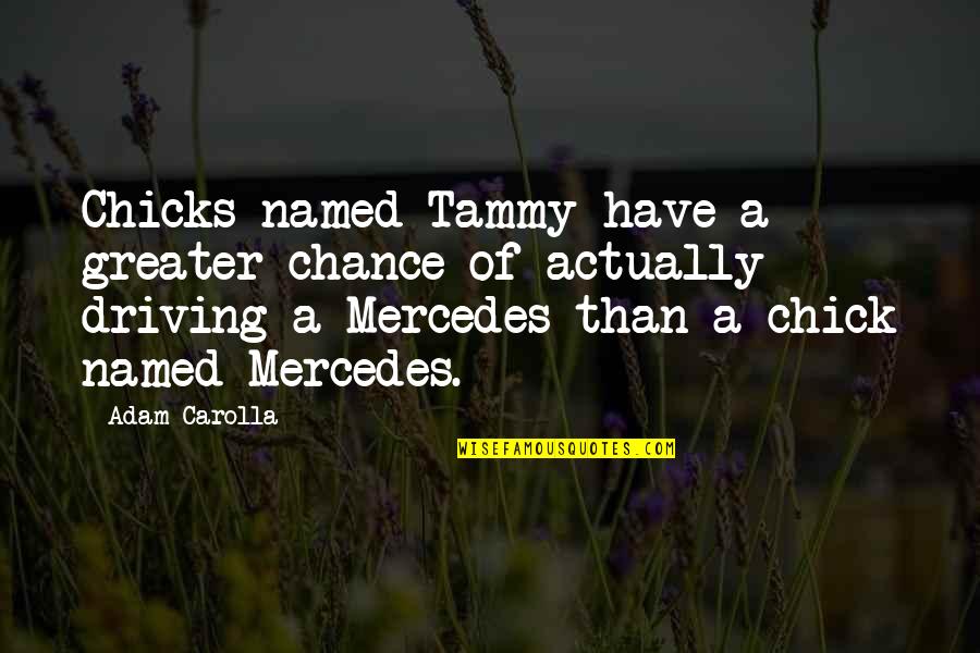 Carolla Quotes By Adam Carolla: Chicks named Tammy have a greater chance of Carolla Quotes By Adam Carolla: Chicks named Tammy have a greater chance of