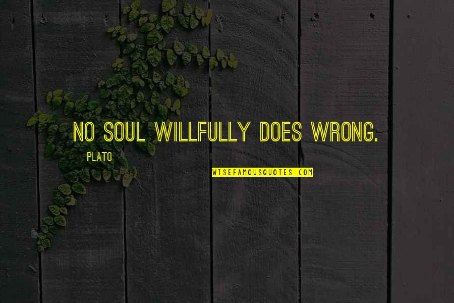 Carolle Benitah Quotes By Plato: No soul willfully does wrong.
