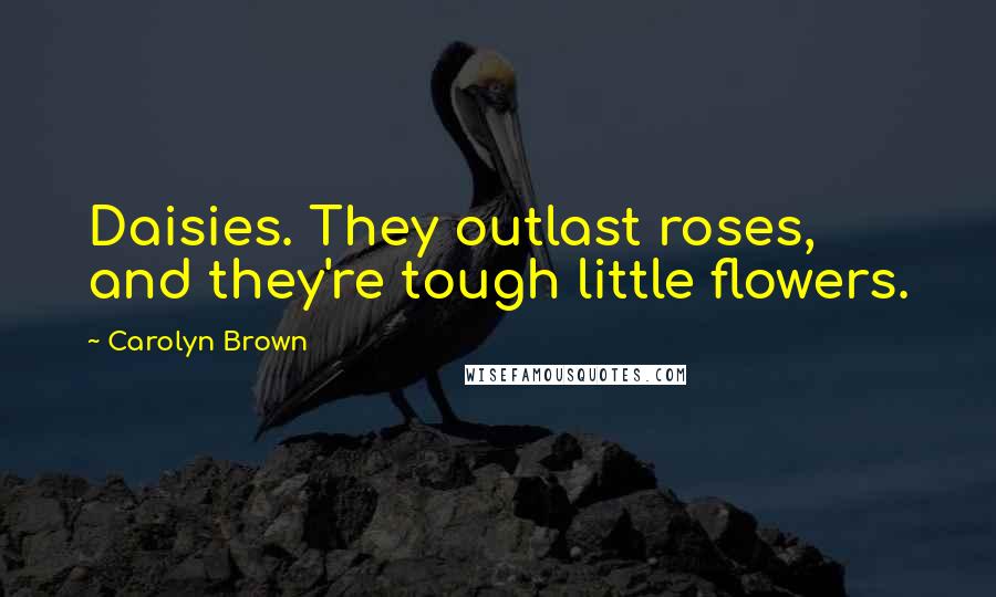 Carolyn Brown quotes: Daisies. They outlast roses, and they're tough little flowers.