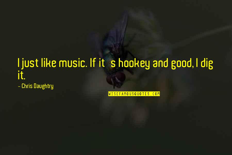 Carolynn Kingyens Quotes By Chris Daughtry: I just like music. If it's hookey and