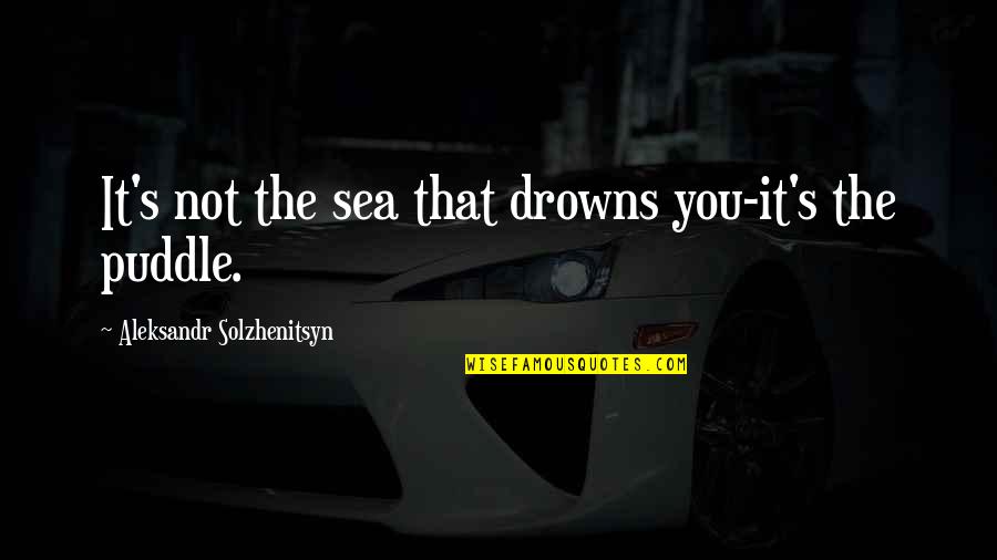 Caroni Finish Mower Quotes By Aleksandr Solzhenitsyn: It's not the sea that drowns you-it's the