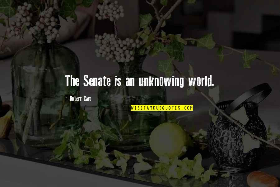 Caro's Quotes By Robert Caro: The Senate is an unknowing world. Caro's Quotes By Robert Caro: The Senate is an unknowing world.