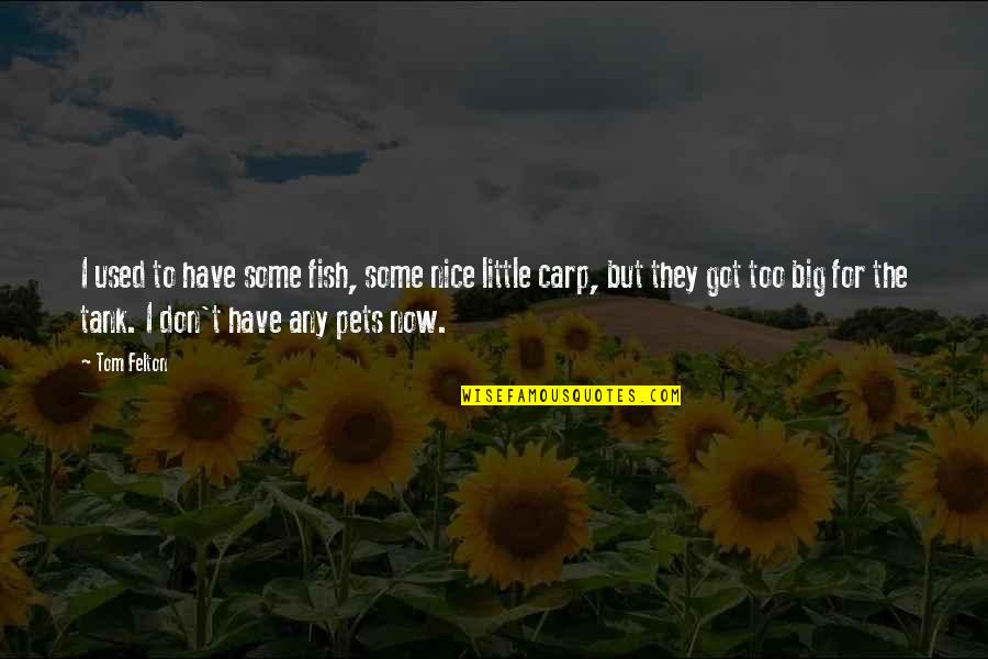 Carp Quotes By Tom Felton: I used to have some fish, some nice