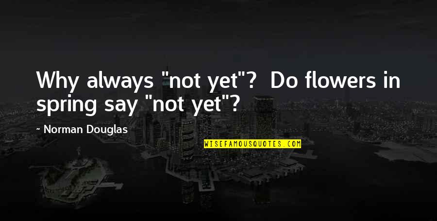 Carpe Quotes By Norman Douglas: Why always "not yet"? Do flowers in spring Carpe Quotes By Norman Douglas: Why always "not yet"? Do flowers in spring