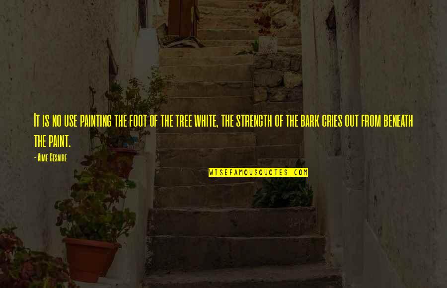 Carpenito Pdf Quotes By Aime Cesaire: It is no use painting the foot of