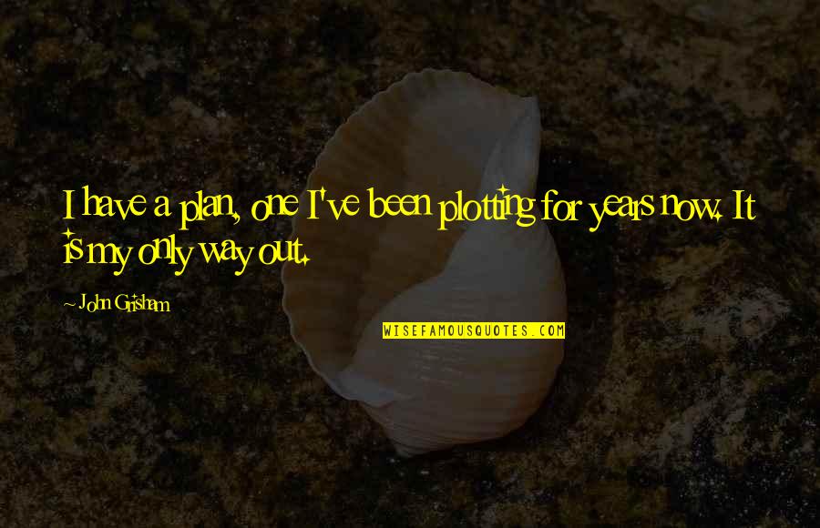 Carpet Right Quotes By John Grisham: I have a plan, one I've been plotting