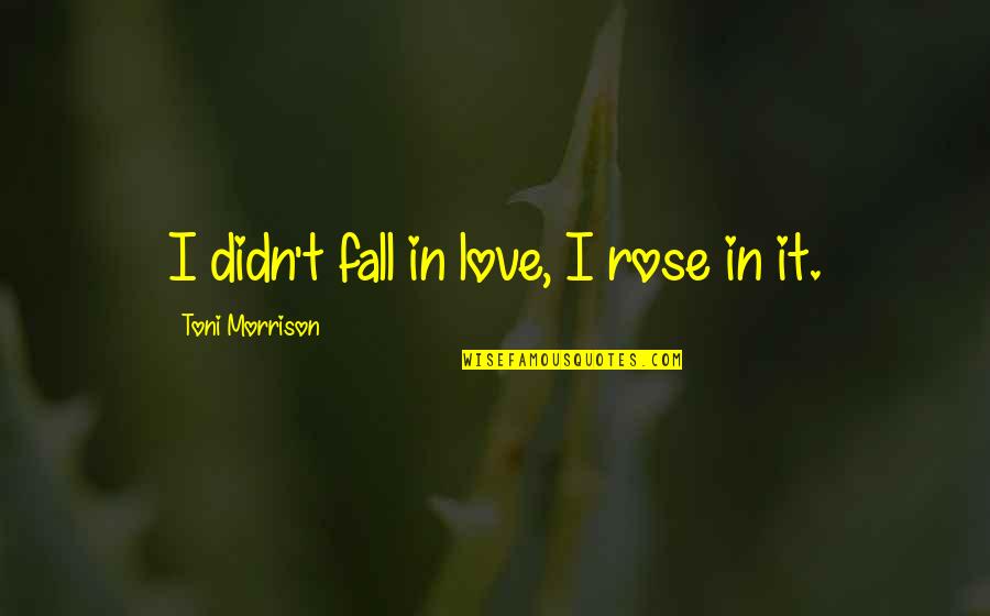 Carpetae Quotes By Toni Morrison: I didn't fall in love, I rose in