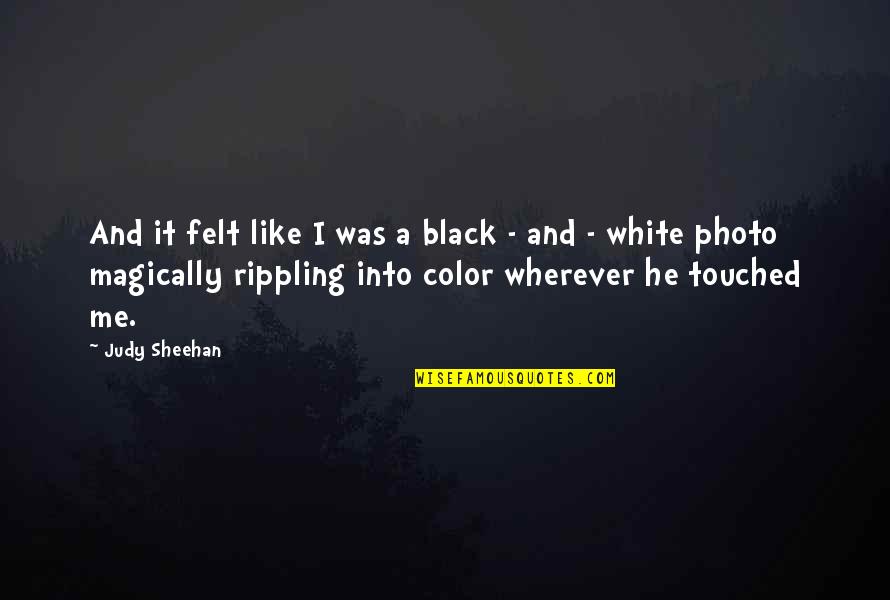 Carpitality Quotes By Judy Sheehan: And it felt like I was a black Carpitality Quotes By Judy Sheehan: And it felt like I was a black