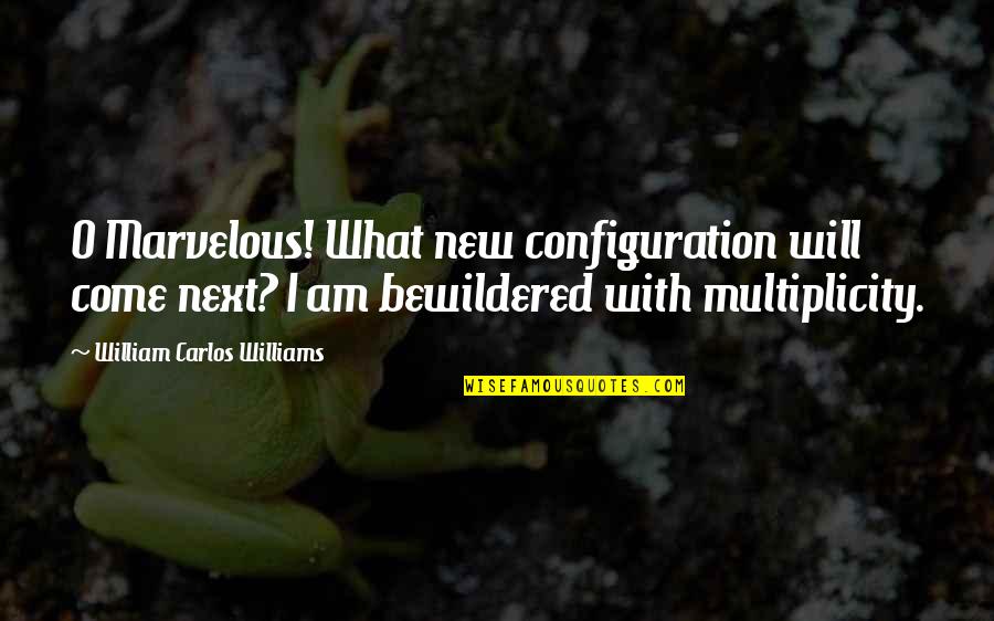 Carports Cheap Quotes By William Carlos Williams: O Marvelous! What new configuration will come next? Carports Cheap Quotes By William Carlos Williams: O Marvelous! What new configuration will come next?