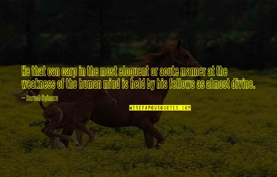 Carp's Quotes By Baruch Spinoza: He that can carp in the most eloquent Carp's Quotes By Baruch Spinoza: He that can carp in the most eloquent
