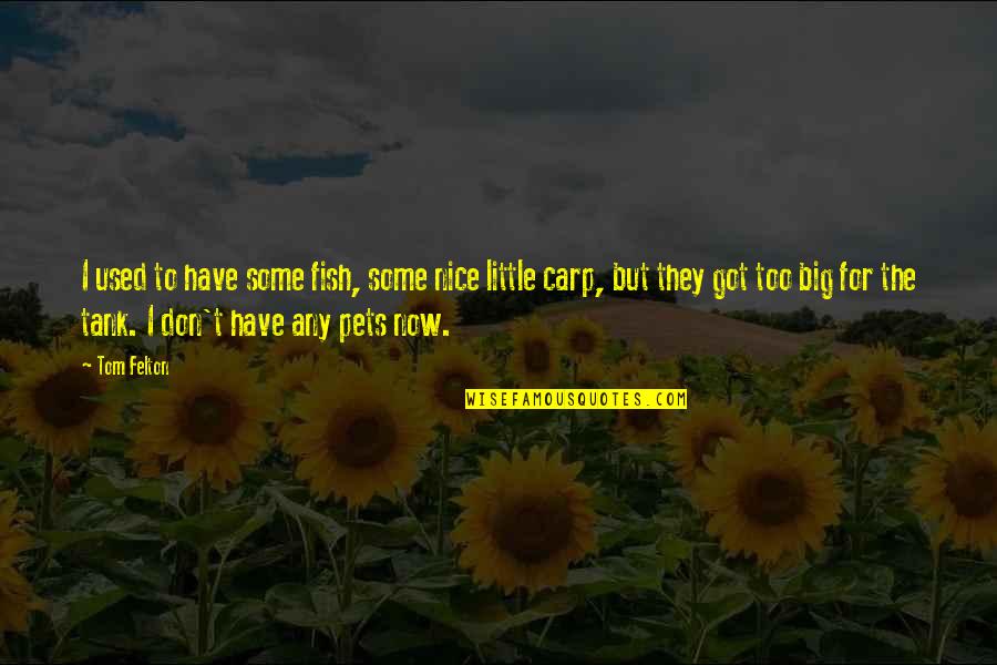 Carp's Quotes By Tom Felton: I used to have some fish, some nice