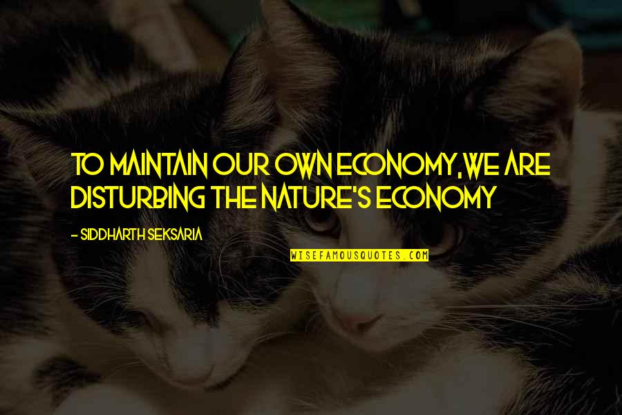 Carrafa Pilgrims Quotes By Siddharth Seksaria: To maintain our own economy,we are disturbing the Carrafa Pilgrims Quotes By Siddharth Seksaria: To maintain our own economy,we are disturbing the