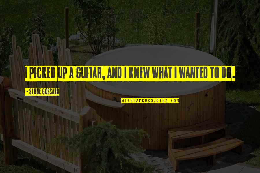 Carrascal America Quotes By Stone Gossard: I picked up a guitar, and I knew Carrascal America Quotes By Stone Gossard: I picked up a guitar, and I knew