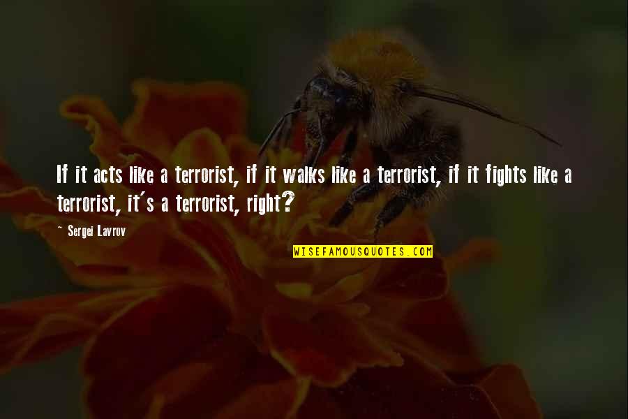 Carravaggian Quotes By Sergei Lavrov: If it acts like a terrorist, if it Carravaggian Quotes By Sergei Lavrov: If it acts like a terrorist, if it