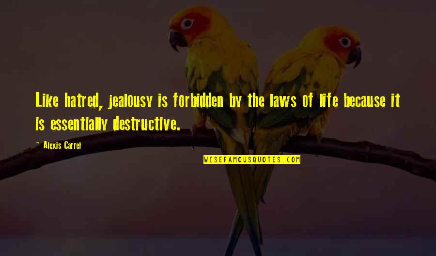 Carrel Quotes By Alexis Carrel: Like hatred, jealousy is forbidden by the laws Carrel Quotes By Alexis Carrel: Like hatred, jealousy is forbidden by the laws