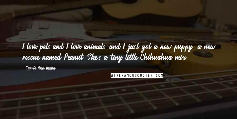 Carrie Ann Inaba quotes: I love pets and I love animals, and I just got a new puppy, a new rescue named Peanut. She's a tiny little Chihuahua mix.