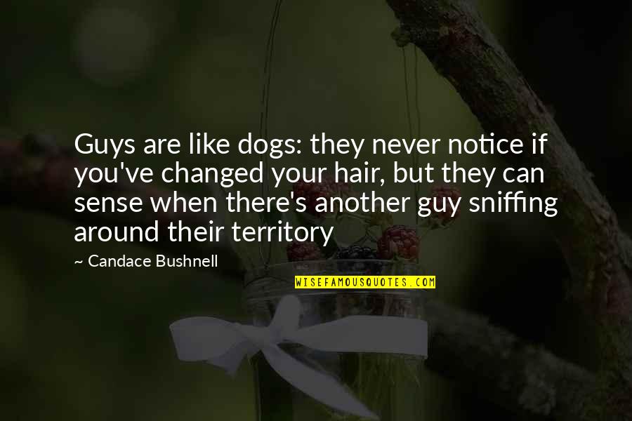 Carrie Bradshaw Quotes By Candace Bushnell: Guys are like dogs: they never notice if