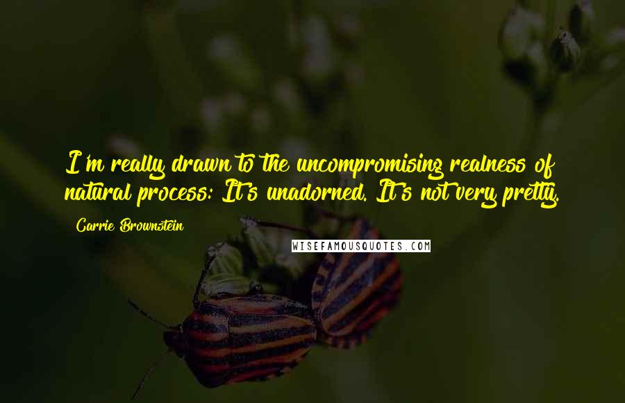 Carrie Brownstein quotes: I'm really drawn to the uncompromising realness of natural process: It's unadorned. It's not very pretty. Carrie Brownstein quotes: I'm really drawn to the uncompromising realness of natural process: It's unadorned. It's not very pretty.