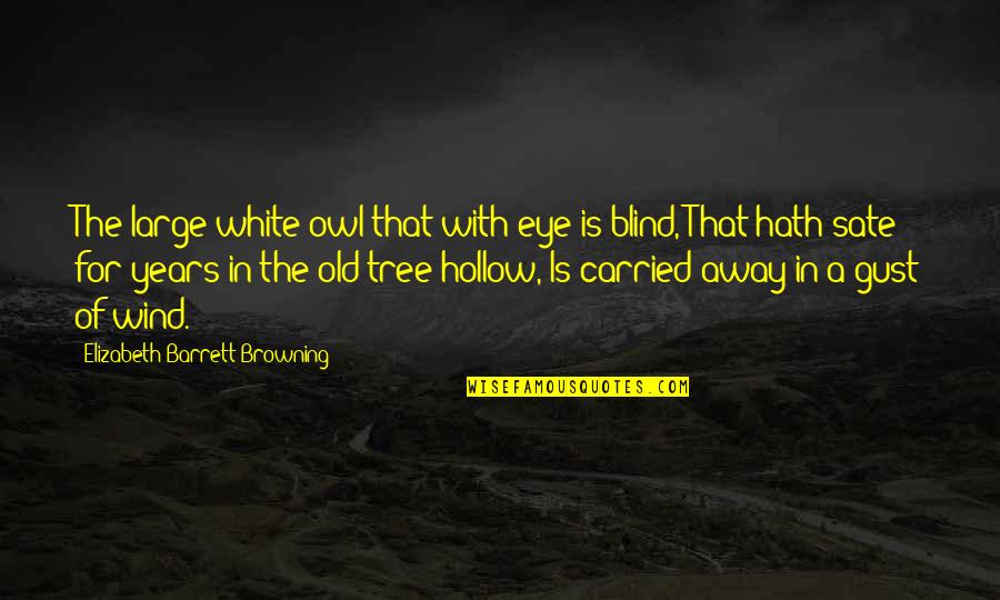 Carried Away Quotes By Elizabeth Barrett Browning: The large white owl that with eye is