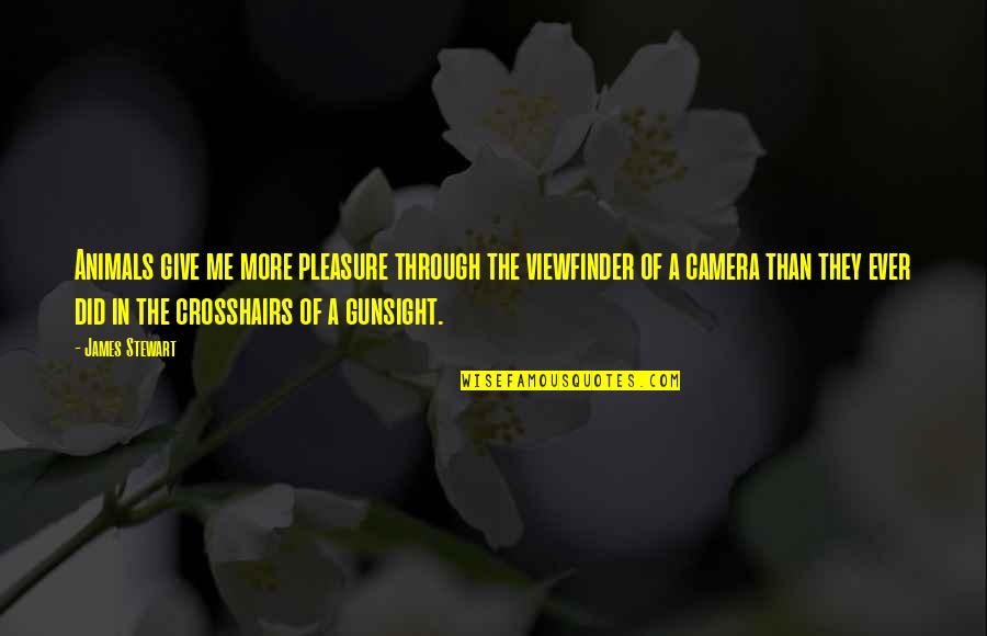 Carriestrong Quotes By James Stewart: Animals give me more pleasure through the viewfinder Carriestrong Quotes By James Stewart: Animals give me more pleasure through the viewfinder