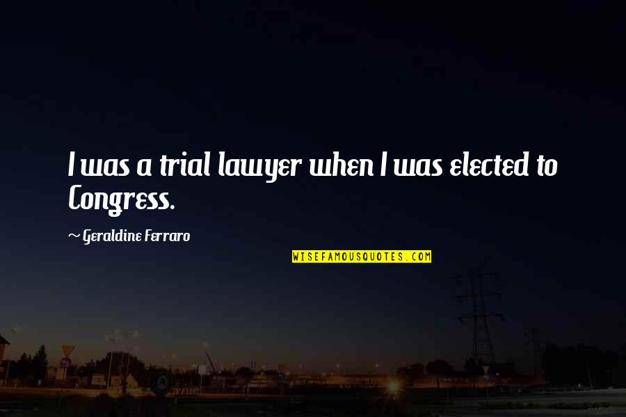 Carriker Sda Quotes By Geraldine Ferraro: I was a trial lawyer when I was Carriker Sda Quotes By Geraldine Ferraro: I was a trial lawyer when I was