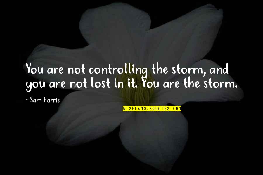 Carrizales Cameron Quotes By Sam Harris: You are not controlling the storm, and you