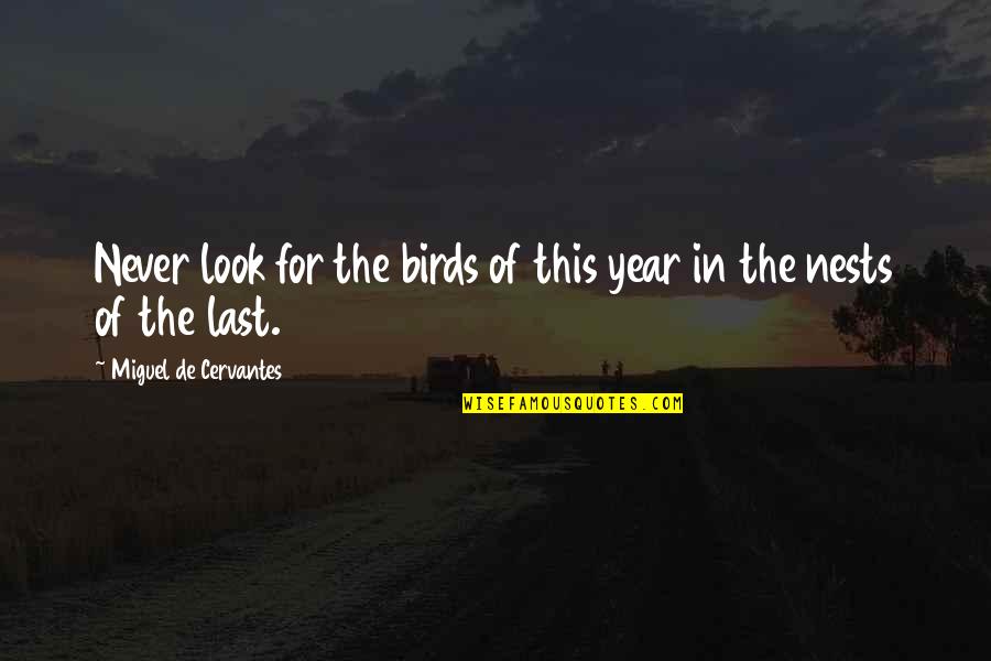 Carroll Quigley Quotes By Miguel De Cervantes: Never look for the birds of this year
