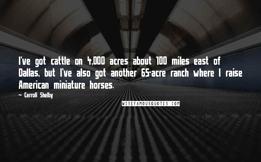 Carroll Shelby quotes: I've got cattle on 4,000 acres about 100 miles east of Dallas, but I've also got another 65-acre ranch where I raise American miniature horses.