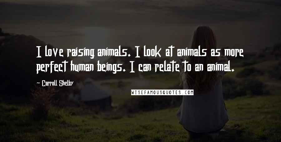 Carroll Shelby quotes: I love raising animals. I look at animals as more perfect human beings. I can relate to an animal.