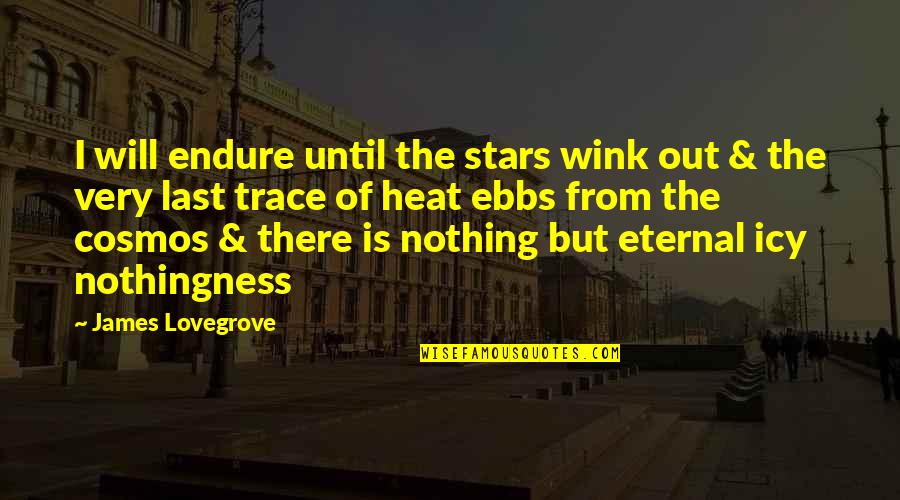 Carrom Quotes By James Lovegrove: I will endure until the stars wink out Carrom Quotes By James Lovegrove: I will endure until the stars wink out
