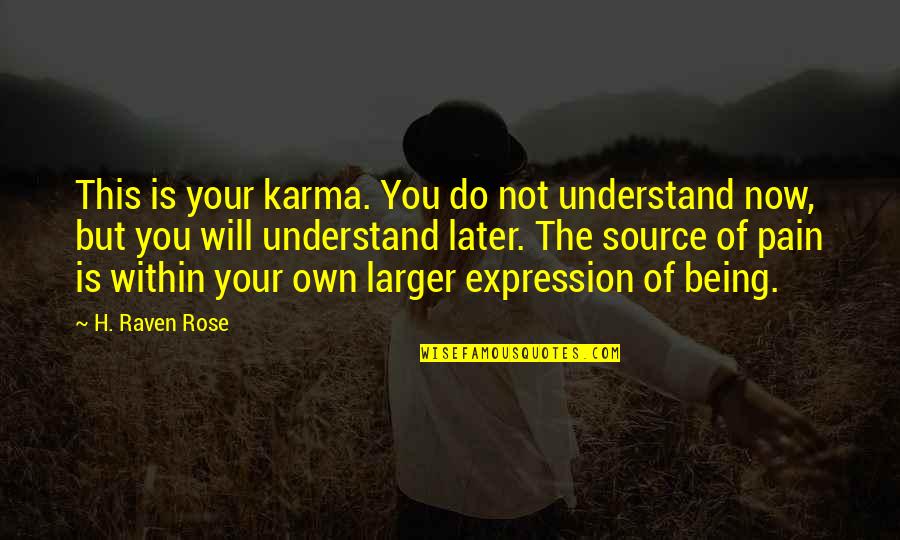Carrossel Quotes By H. Raven Rose: This is your karma. You do not understand