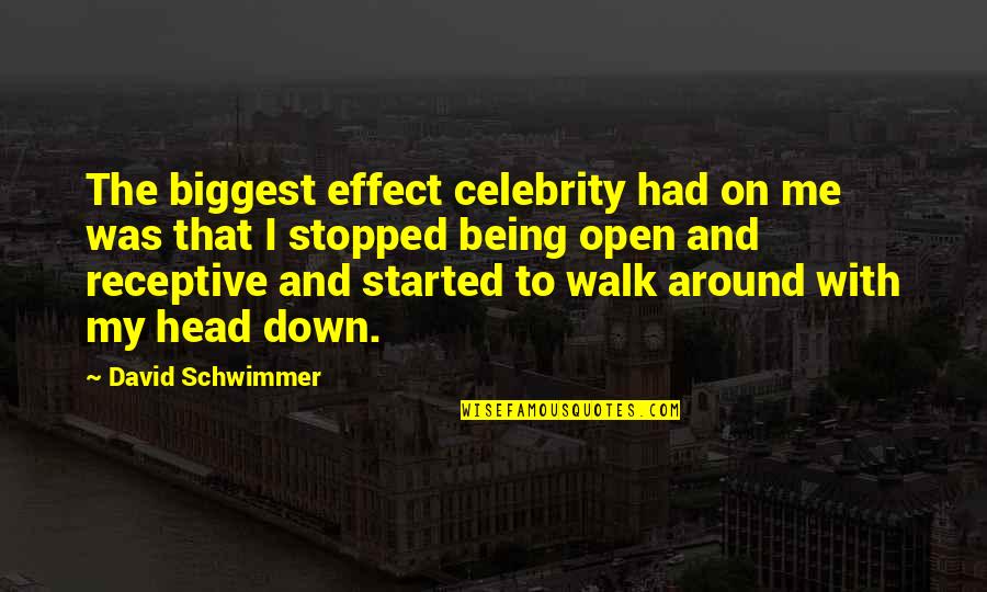 Carrubba Joanne Quotes By David Schwimmer: The biggest effect celebrity had on me was