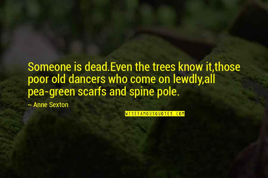 Carry And Conceal License Quotes By Anne Sexton: Someone is dead.Even the trees know it,those poor Carry And Conceal License Quotes By Anne Sexton: Someone is dead.Even the trees know it,those poor