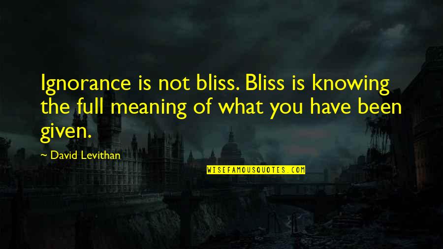 Carry Heavy Loads Quotes By David Levithan: Ignorance is not bliss. Bliss is knowing the