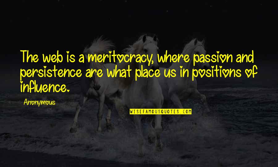Carry Yourself Well Quotes By Anonymous: The web is a meritocracy, where passion and