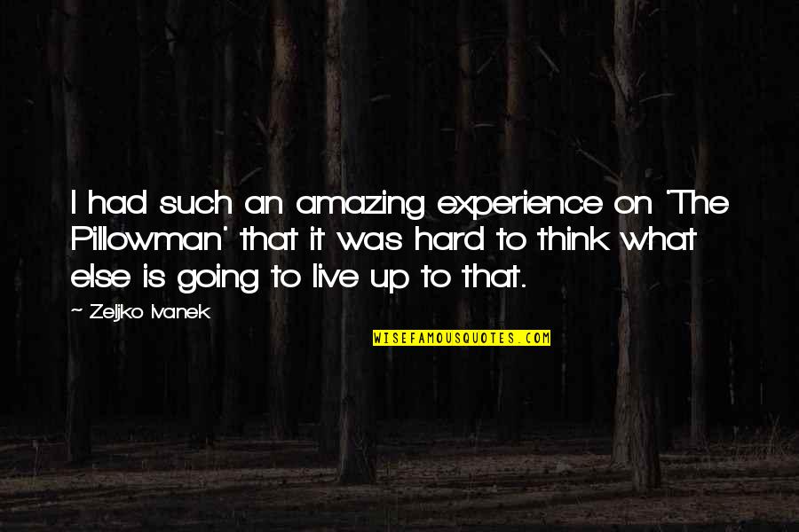 Carrying Heavy Burden Quotes By Zeljko Ivanek: I had such an amazing experience on 'The Carrying Heavy Burden Quotes By Zeljko Ivanek: I had such an amazing experience on 'The