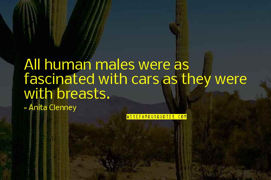 Cars Funny Quotes By Anita Clenney: All human males were as fascinated with cars