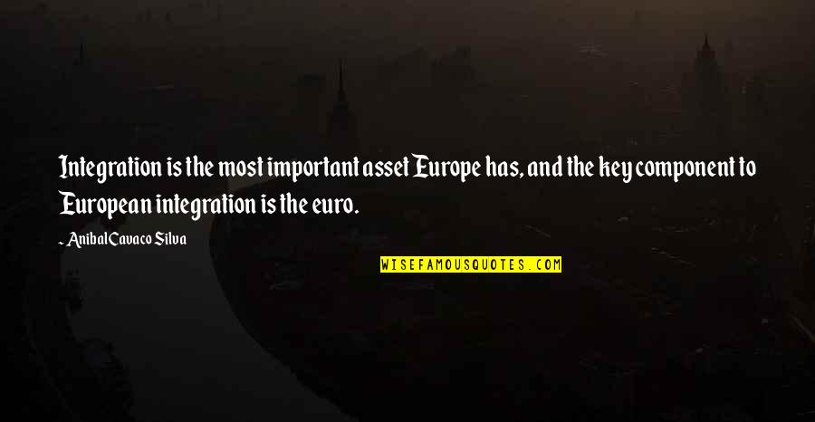 Cars In The Outsiders Quotes By Anibal Cavaco Silva: Integration is the most important asset Europe has,