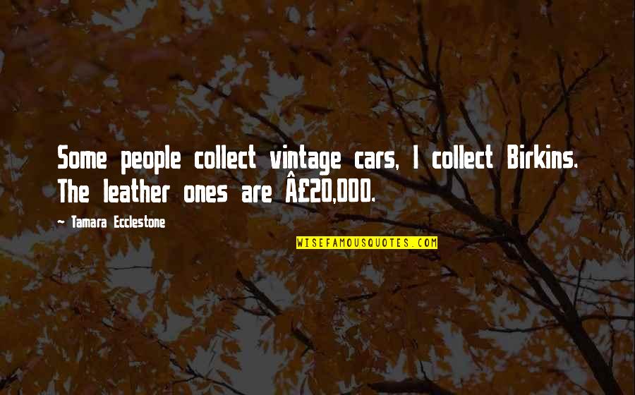 Cars Quotes By Tamara Ecclestone: Some people collect vintage cars, I collect Birkins.
