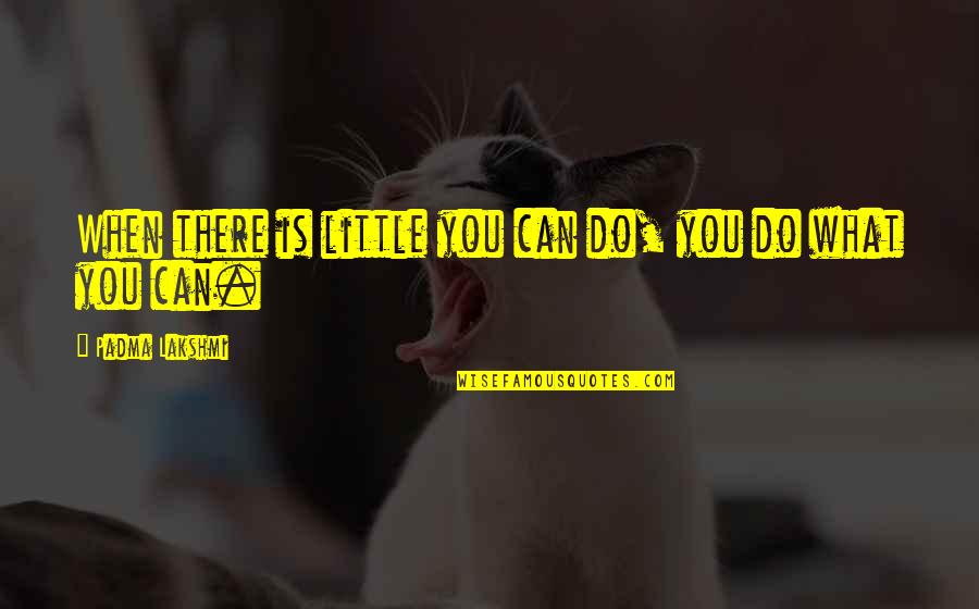 Cartagena Movie Quotes By Padma Lakshmi: When there is little you can do, you Cartagena Movie Quotes By Padma Lakshmi: When there is little you can do, you