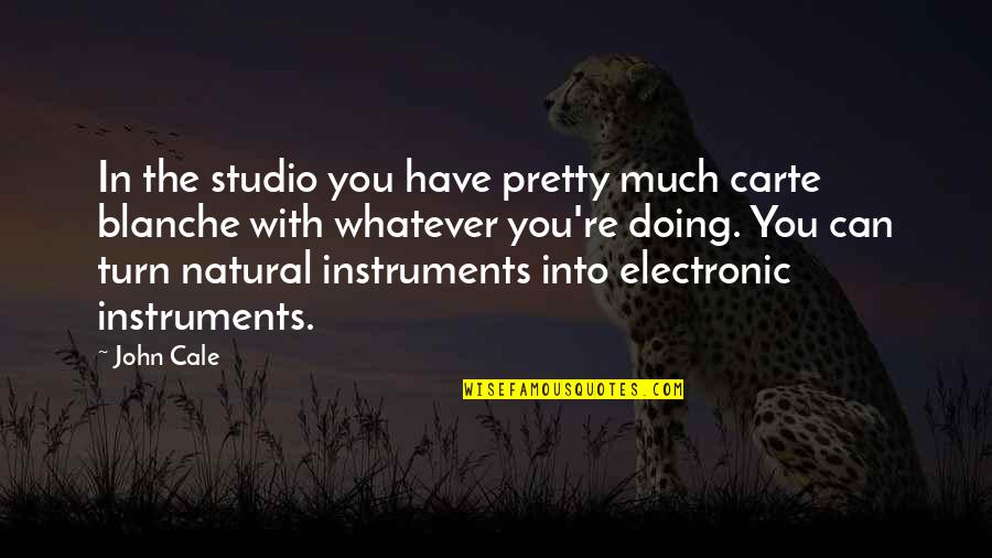 Carte Quotes By John Cale: In the studio you have pretty much carte
