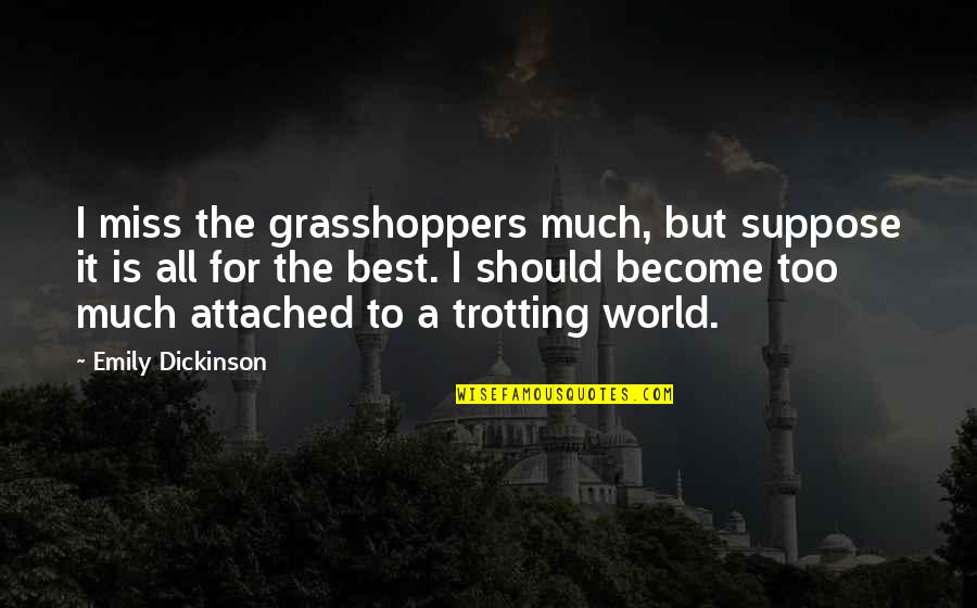 Cartero Quotes By Emily Dickinson: I miss the grasshoppers much, but suppose it