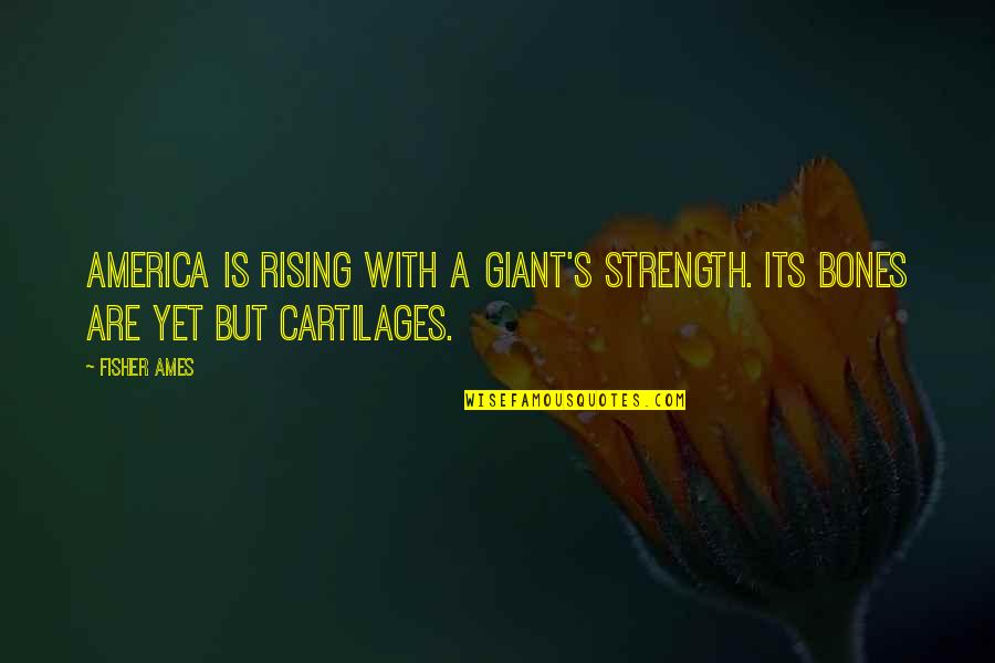 Cartilages Quotes By Fisher Ames: America is rising with a giant's strength. Its