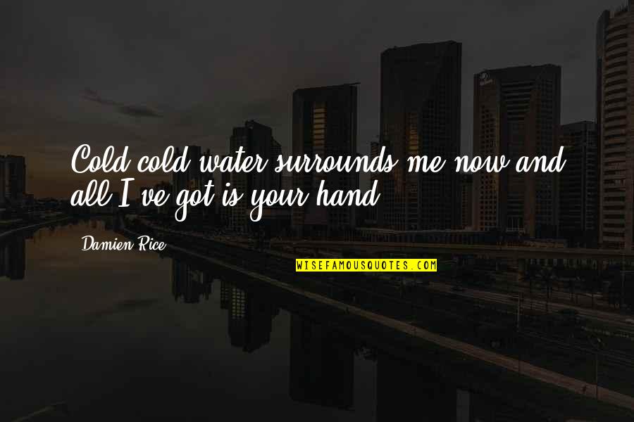 Cartoon Lovers Quotes By Damien Rice: Cold,cold water,surrounds me now,and all I've got is